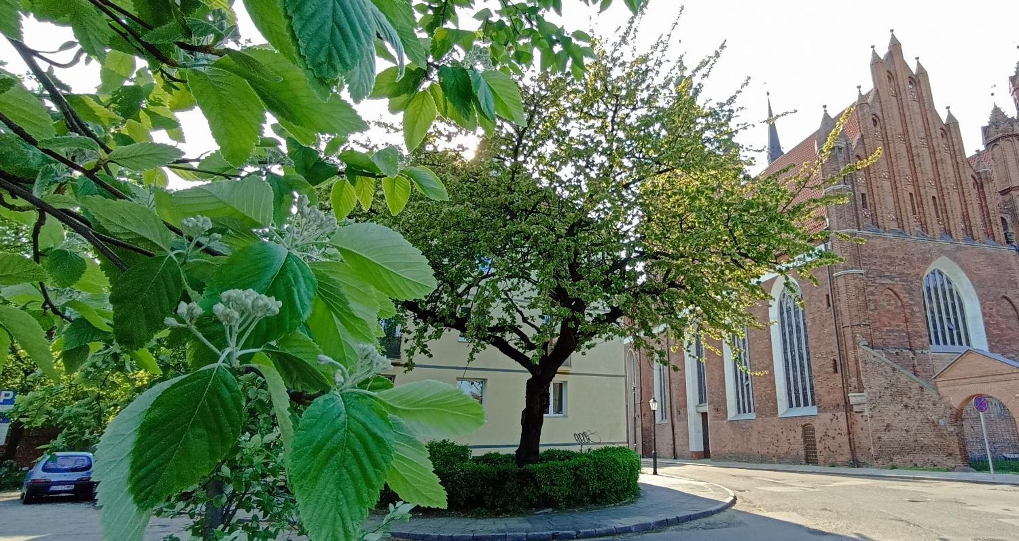 Katarzynka Gdansk Stare Miasto Exterior foto